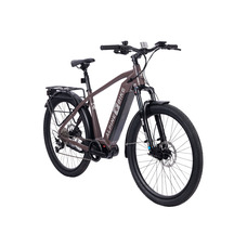 Alpinebike Dammastock