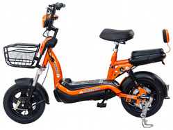 Elbike Dacha Mini 20 Elbike Dacha Mini 20