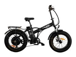 Elbike Taiga 2 Vip 13 (Черный) Elbike Taiga 2 Vip 13 (Черный)