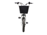 Электровелосипед GreenCamel Транк-18 V2 (R18 250W) [без АКБ]